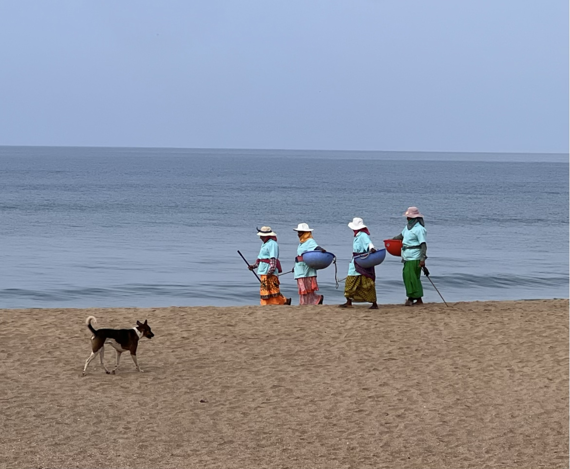 Four women in matching tops walking the tideline with baskets and litter-pickers, a street dog trailing behind them